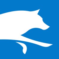 Wolff Interactive GmbH Logo