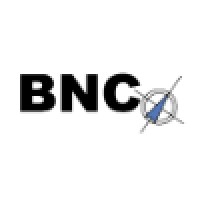 Business Navigator Consulting Logo