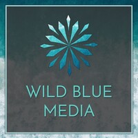 Wild Blue Media Content - Cape Town Logo