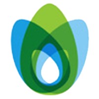 Visionindia Software Exports Pvt. Ltd. Logo