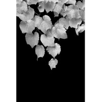 Salsbury-Schweyer Inc Logo