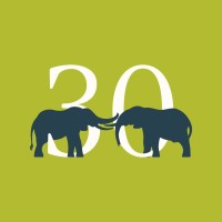 Save the Elephants Logo
