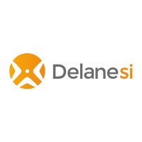 DELANE SI Logo