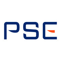 Professional Systems Engineering, LLC. Logo
