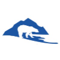 Polar Technology Logo