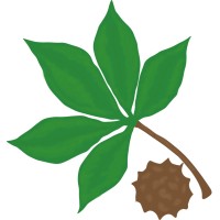 Buckeye Carpet Care Inc Logo
