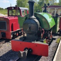 Amerton Railway (Staffordshire Narrow Gauge Railway Ltd) Logo