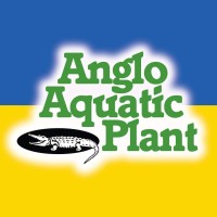 Anglo Aquatic Plant Company Ltd Logo