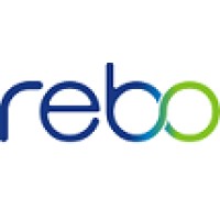 Rebo Lighting & Electronics, LLC Logo