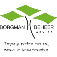 Borgman Beheer Advies Forestry Consultants Logo