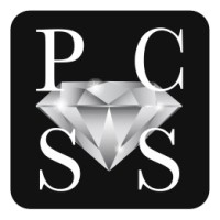 Probe Concierge & Security Services Limited Logo