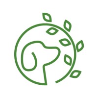 Current Wisdom Logo