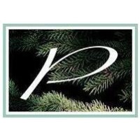 PINES BEHAVIORAL HEALTH Logo