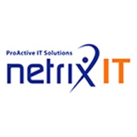 Netrix IT Logo