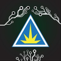 POWER ACTION LIMITED Logo