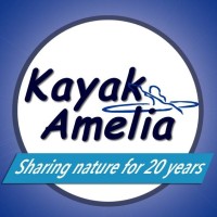Kayak Amelia Logo