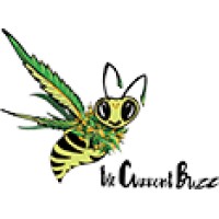 CannaVibesTV -- Oklahomas Cannabis Television Network on Roku, Amazon Fire, and Apple TV. Logo