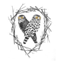 Barking Owl Logo