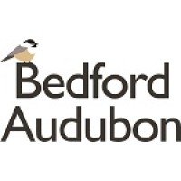 Bedford Audubon Society Logo