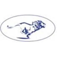 ANSHER INVESTMENTS LLP Logo