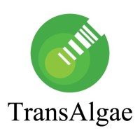 TransAlgae Logo