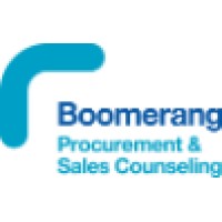 Boomerang Procurement & Sales Counseling Logo