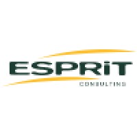 Esprit Consulting Logo