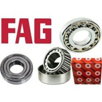 FAG Bearings India Ltd (FAG) Logo