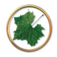 Park Ridge Community Bank Logo