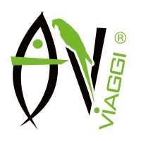Avenida Viaggi Logo
