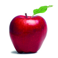 TLTP Education Logo