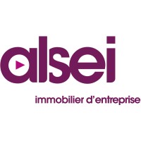 ALSEI Logo