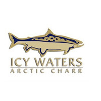 Icy Waters Ltd Logo