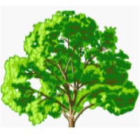 Oak Tree Motor Homes Limited Logo