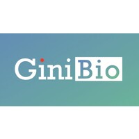 Gini Technology Corporation Logo