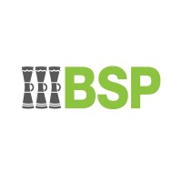 BSP Financial Group Limited Logo