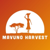 Mavuno Harvest Logo