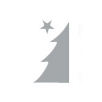 NHS Northstar, Inc. Logo
