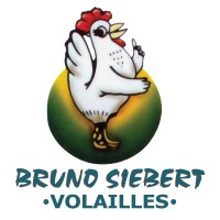 Bruno Siebert S.A Logo