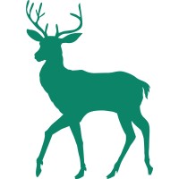 CANBURY SCHOOL LIMITED Logo