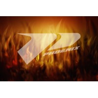 Phoenix Bats Logo