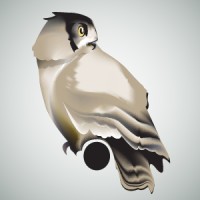 Night Owl Support Systems LLC Logo