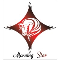 Morning Star Enterprises Logo
