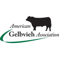 American Gelbvieh Association Logo