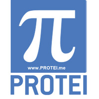 PROTEI MENA Logo