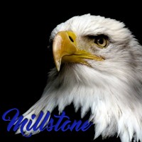 MILLSTONE TOWNSHIP SCHOOL DISTRICT Logo