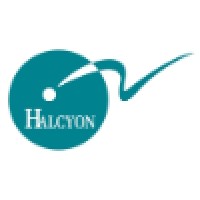 Halcyon Search International Logo