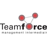 Teamforce Logo