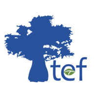 Tanzania Education Fund Inc Logo