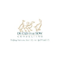 Ducks in a Row Consulting Logo